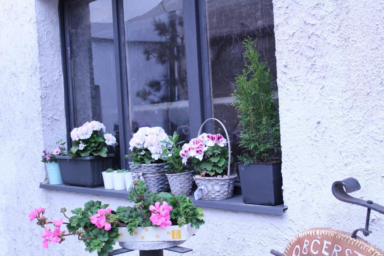 Apartmany Caffe & Grill Roudnice nad Labem Ngoại thất bức ảnh